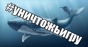 фото синего кита